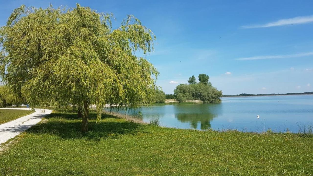 Le Nichoir Lac Du Der Droyes Ngoại thất bức ảnh